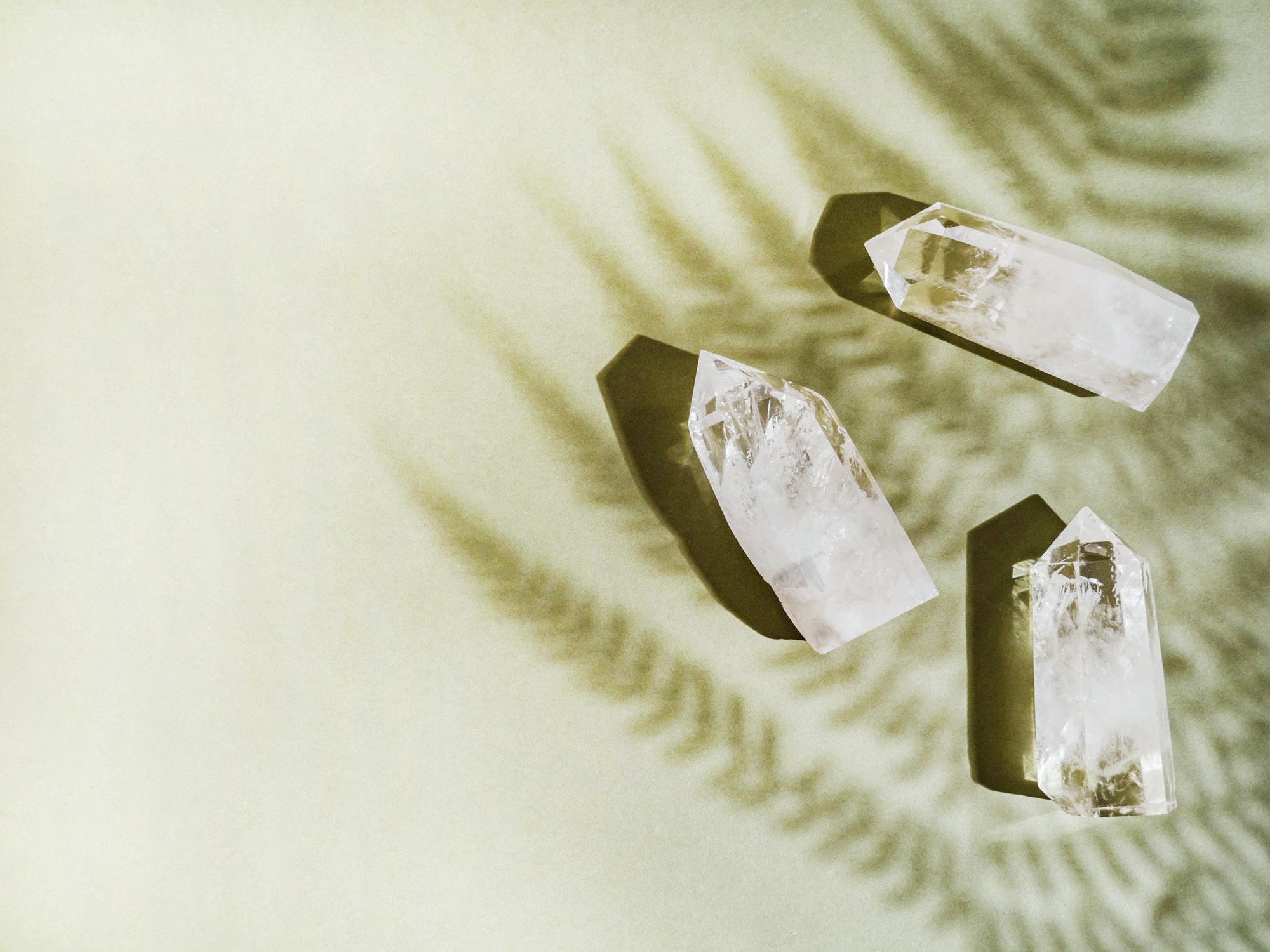 Collection of crystals quartz on green background with plant shadows.